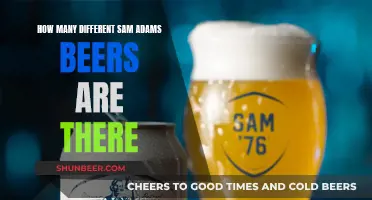 Sam Adams Beers: Exploring the Diverse Range