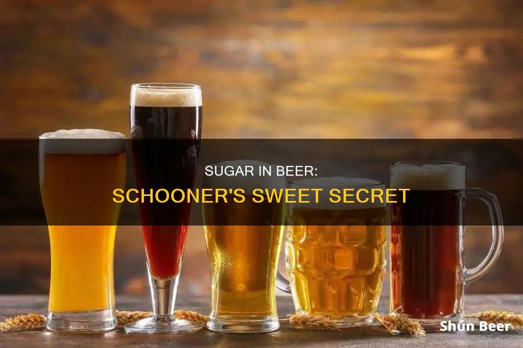 how many grams of sugar in a schooner of beer