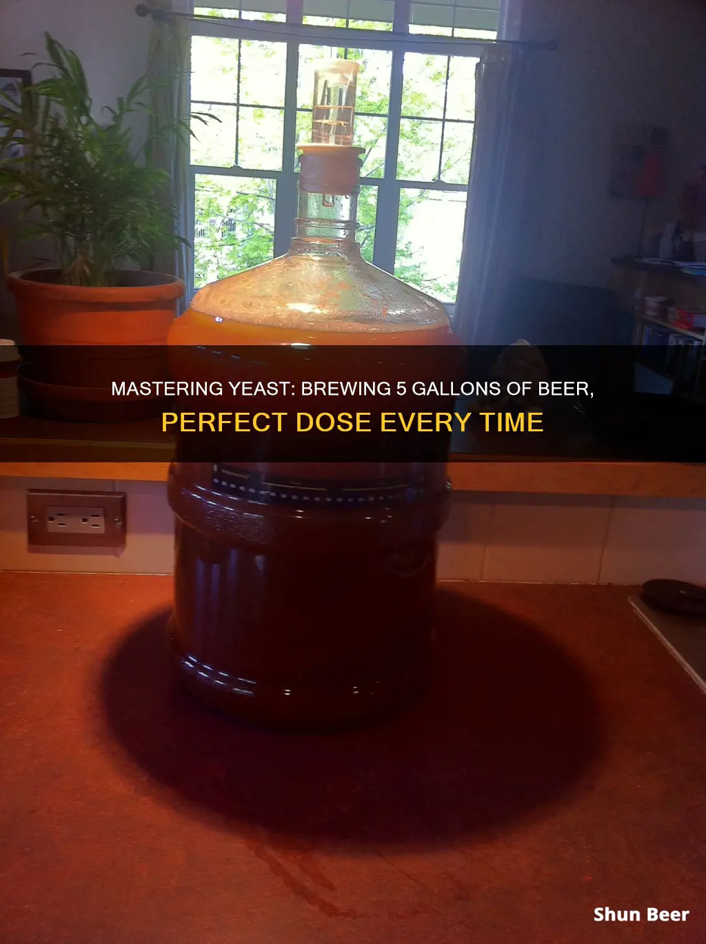 how many grams of yeast for 5 gallons of beer