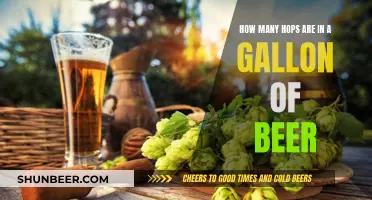 Exploring the Hops in Your Beer: Gallon Edition