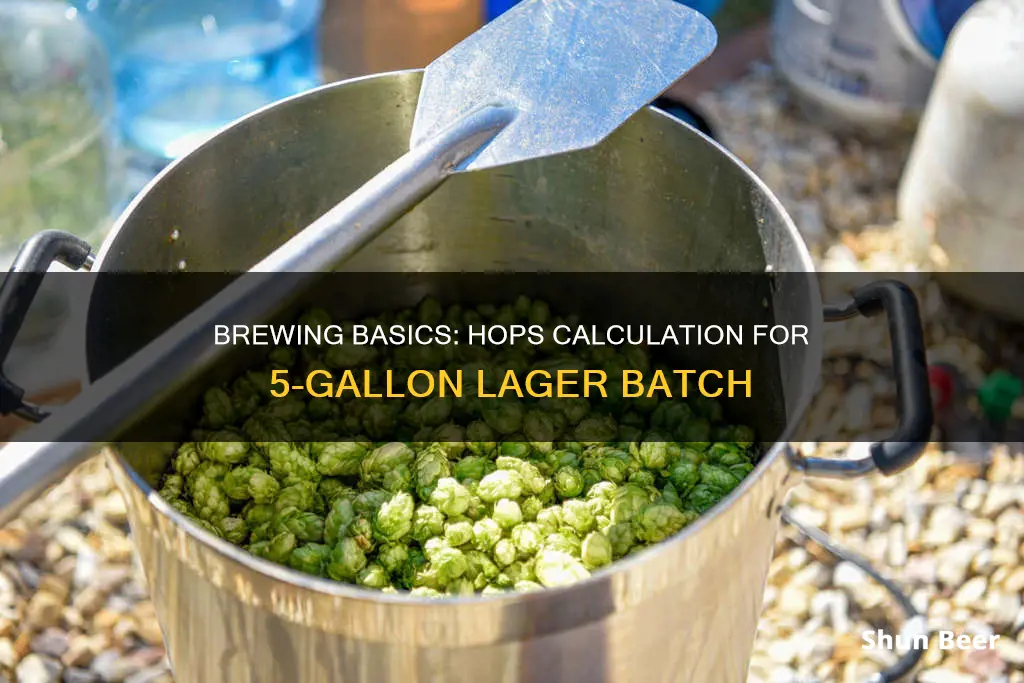 how many hops for 5 gallons of beer lager