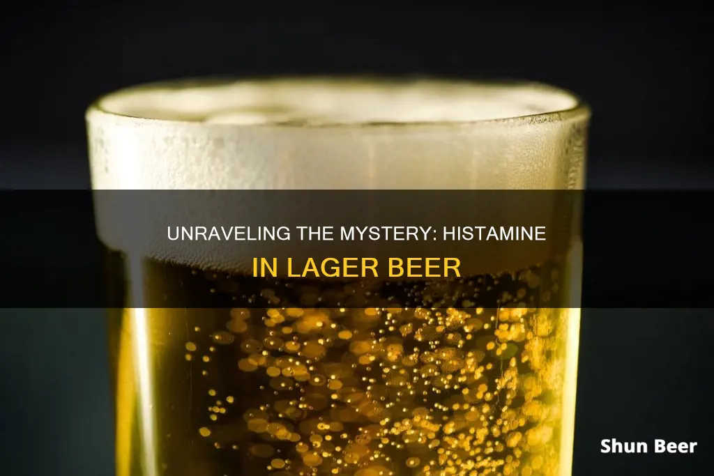 how many micrograms of histamine in lager beer