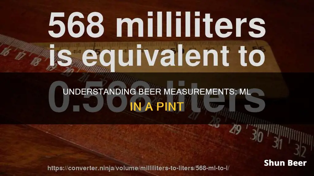 Understanding Beer Measurements: Ml In A Pint | ShunBeer