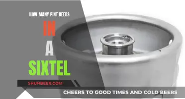 Craft Beers: Sixtels and Pints, the Perfect Match