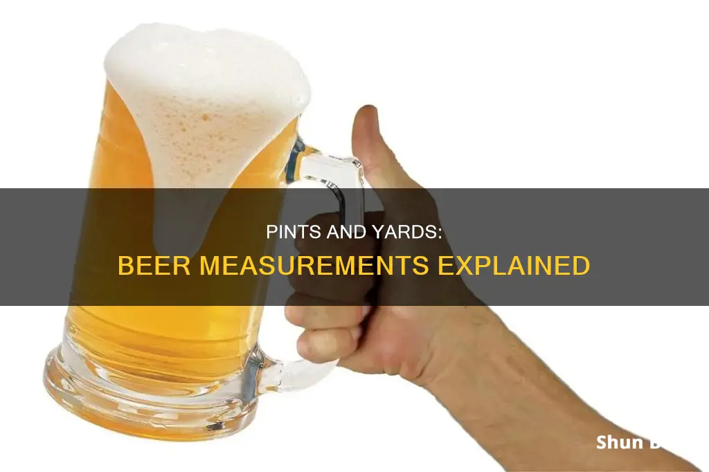 how many pints are in a yard of beer