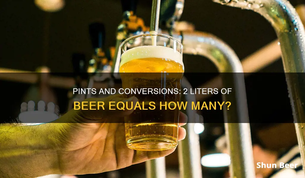 how many pints in 2 litres of beer