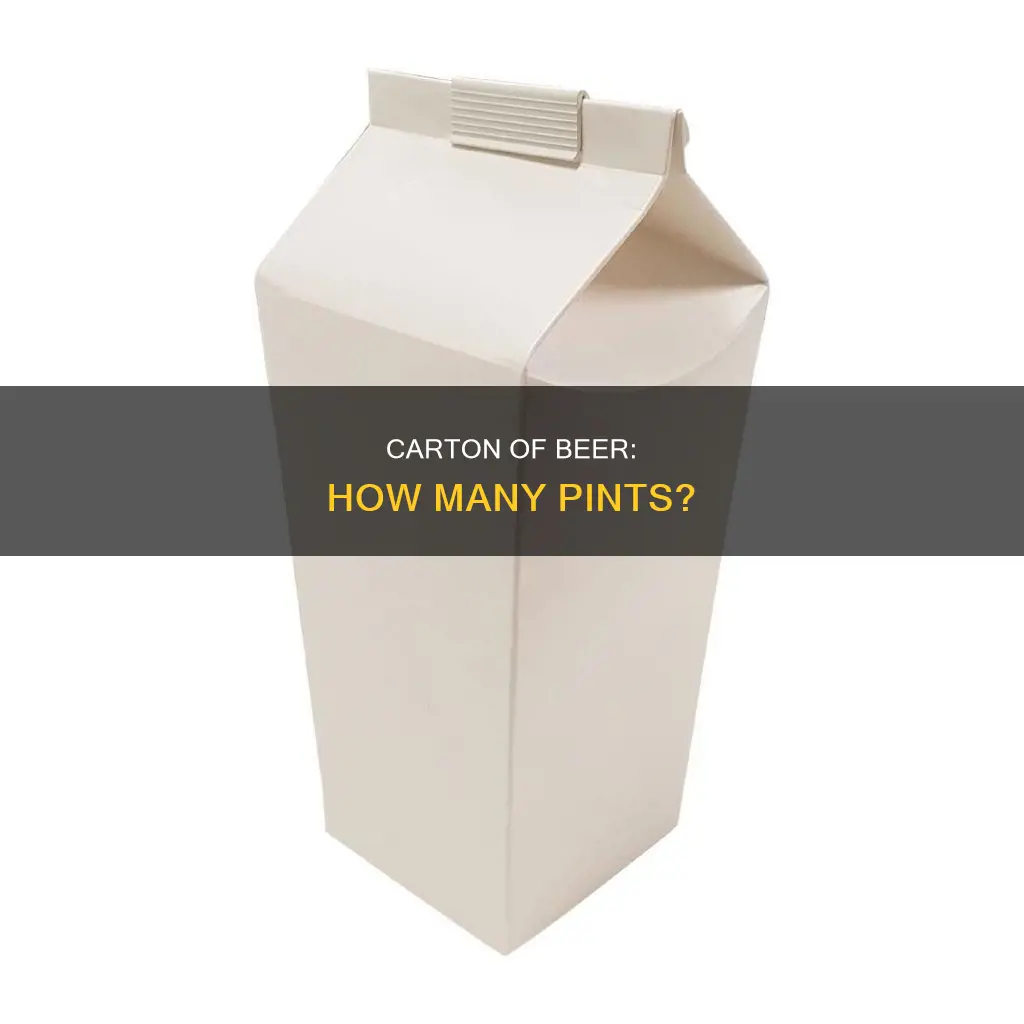 how many pints in a carton of beer