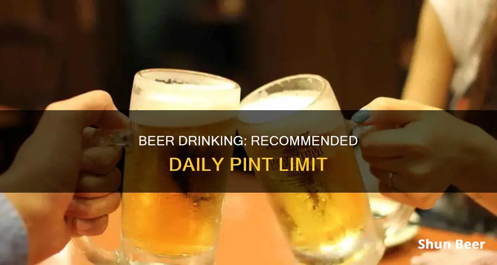 how many pints of beer a day should you drink