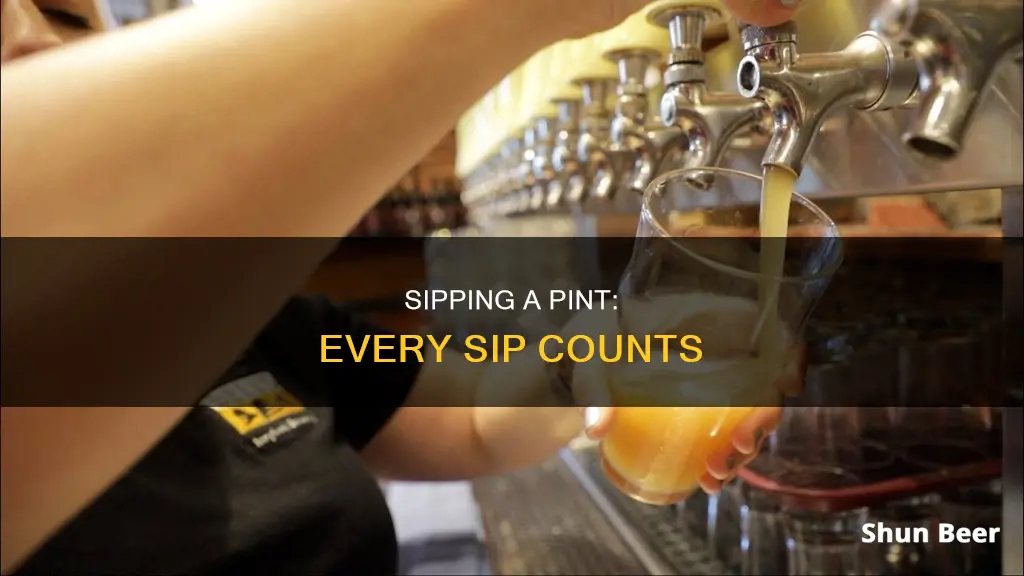 how many sips in a pint of beer