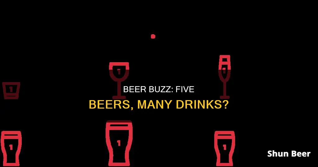 how many standard drinks in a 5 beer