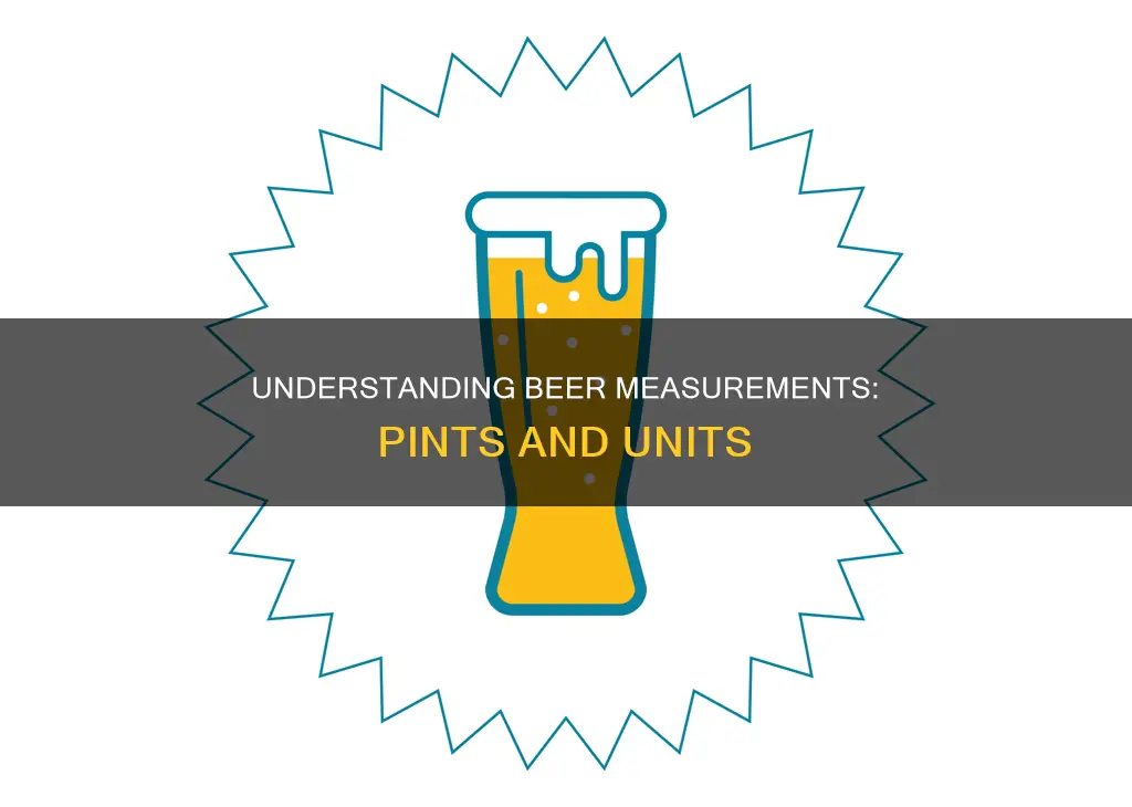 Understanding Beer Measurements: Pints And Units | ShunBeer