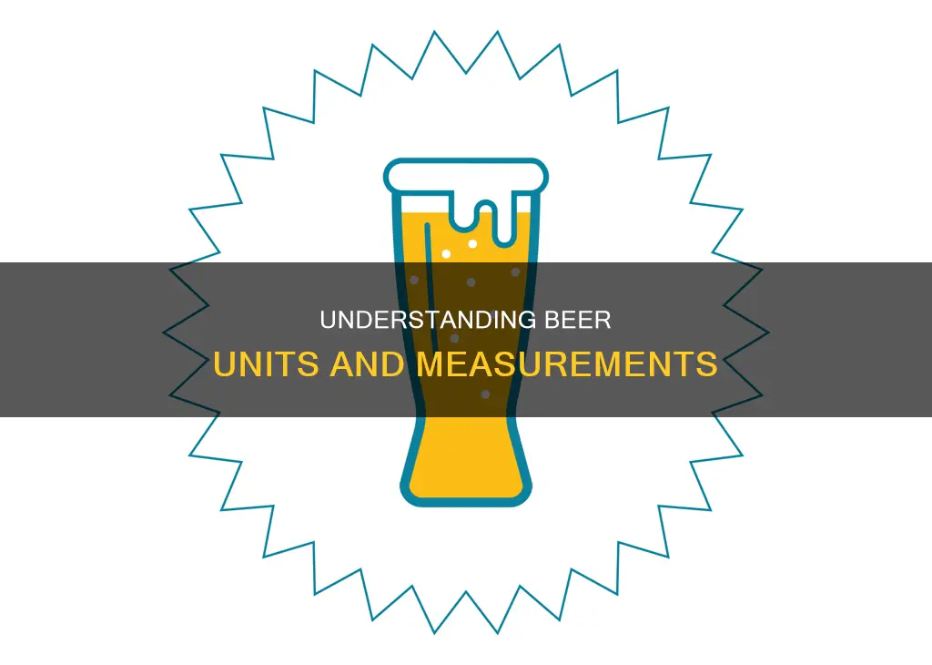 how many units in 1 pint of 4 beer