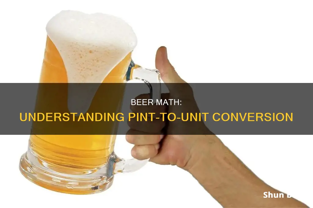 Beer Math: Understanding Pint-To-Unit Conversion | ShunBeer