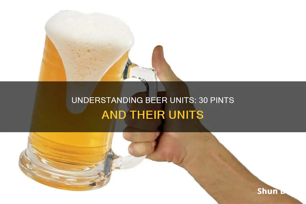 how many units in 30 pint of beer