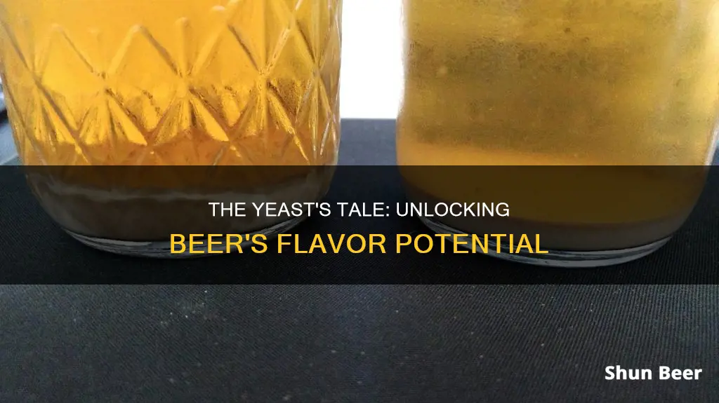 how many years do beer kits yeast laste