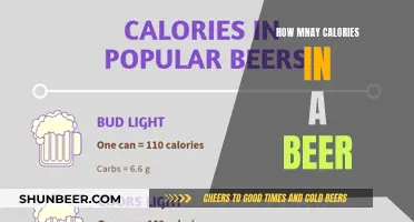 Calories in Beer: How Many Are There?