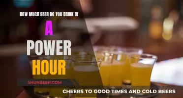 A Power Hour: How Much Beer Can You Handle?