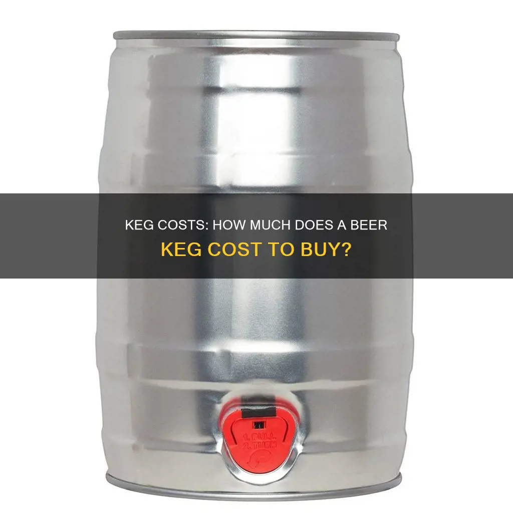 how much are beer kegs to buy