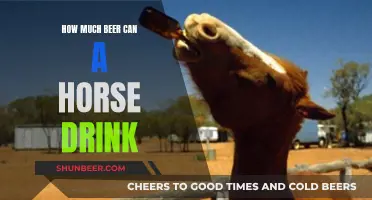 A Horse's Thirst: Beer Consumption Limits Explored