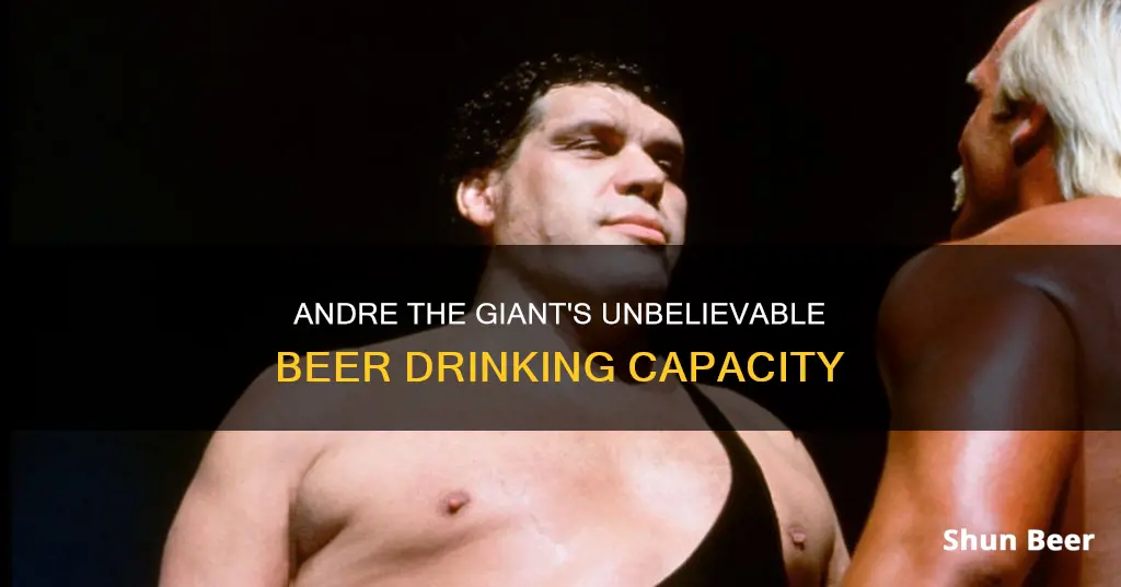 how much beer can andre the giant drink