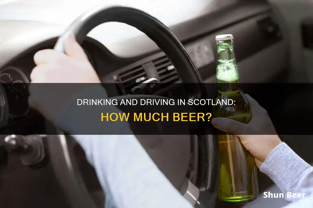 how much beer can I drink and drive scotland