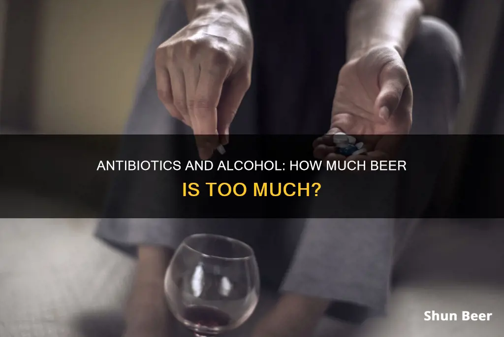 how much beer can you drink on antibiotics