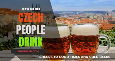 Czech Republic's Beer Drinking Culture: How Much is Too Much?