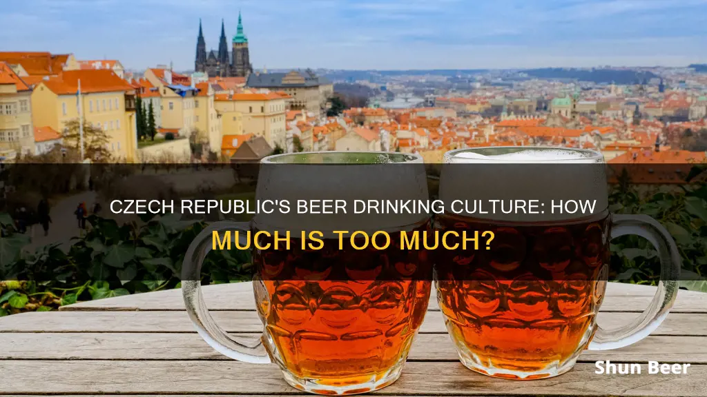 how much beer czech people drink