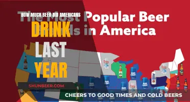 Beer Consumption in the US: A Yearly Overview