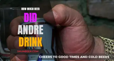 Andre's Beer Consumption: A Curious Investigation