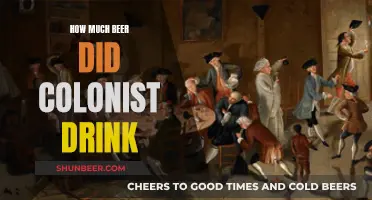 Beer-Guzzling Colonists: A Historical Drinking Problem