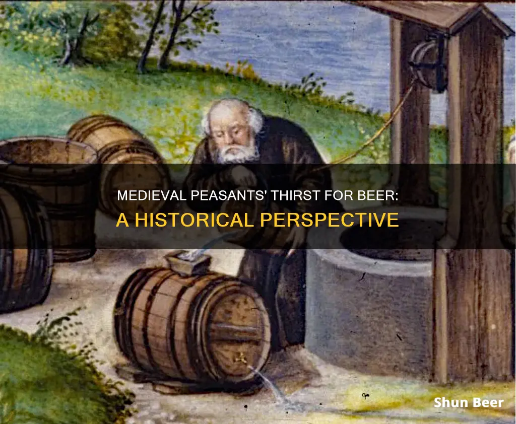 how much beer did medieval peasants drink