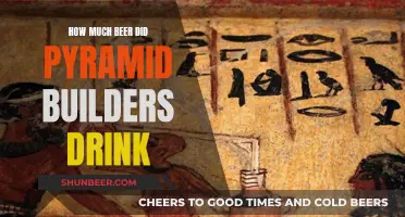 Beer and the Pyramids: Ancient Builders' Daily Drink