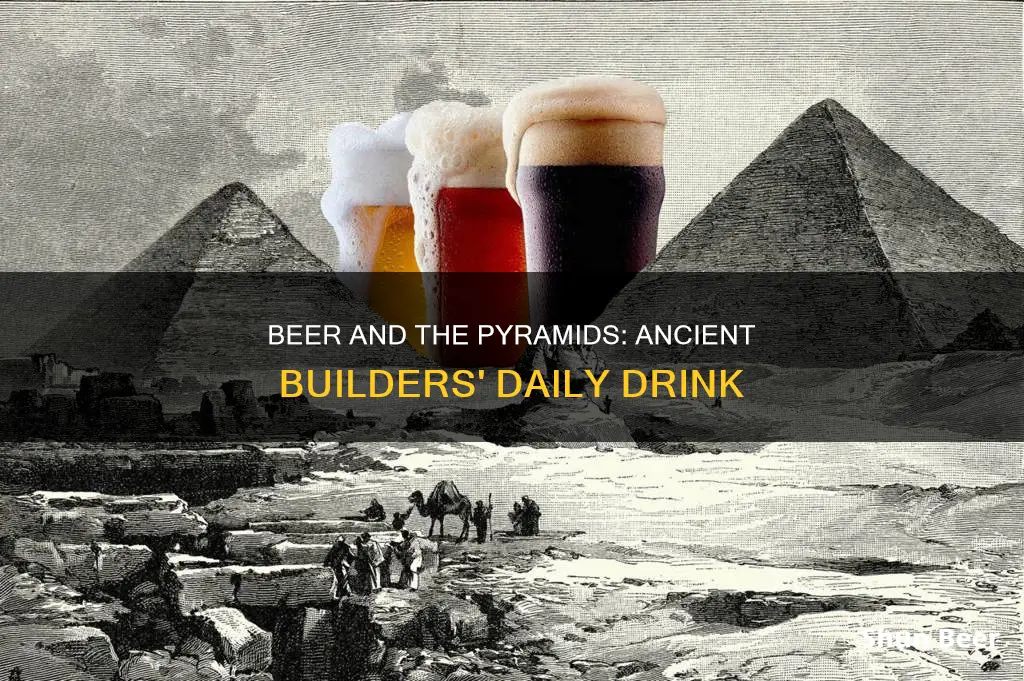 how much beer did pyramid builders drink