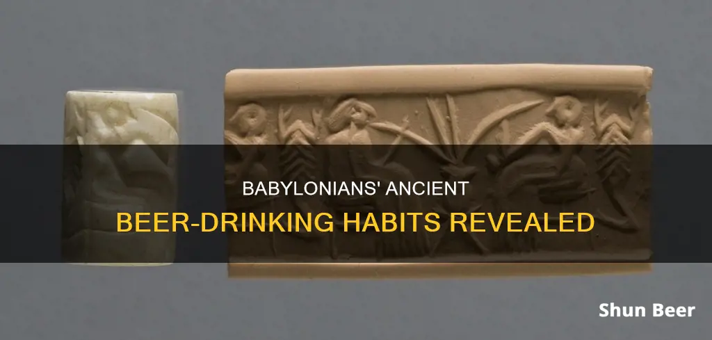 how much beer did the babylonians drink in a day