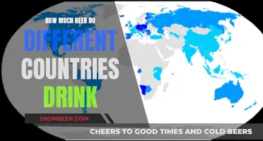 Beer Consumption Around the World: Country Comparison