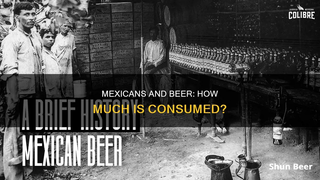 how much beer do mexican drink