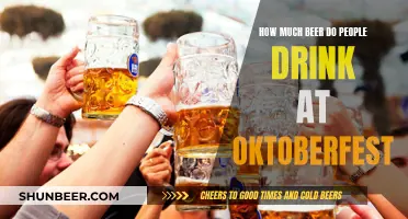 Beer Consumption at Oktoberfest: How Much is Too Much?