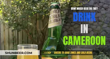 Beer Consumption in Cameroon: How Much Do They Drink?