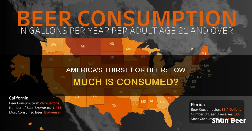 how much beer does america drink