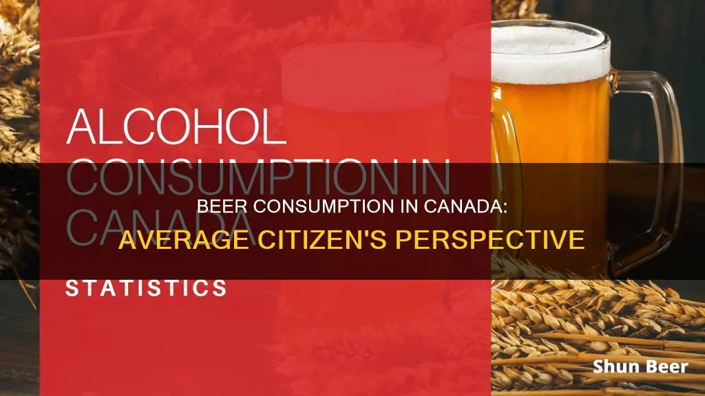 how much beer does the average canadian drink