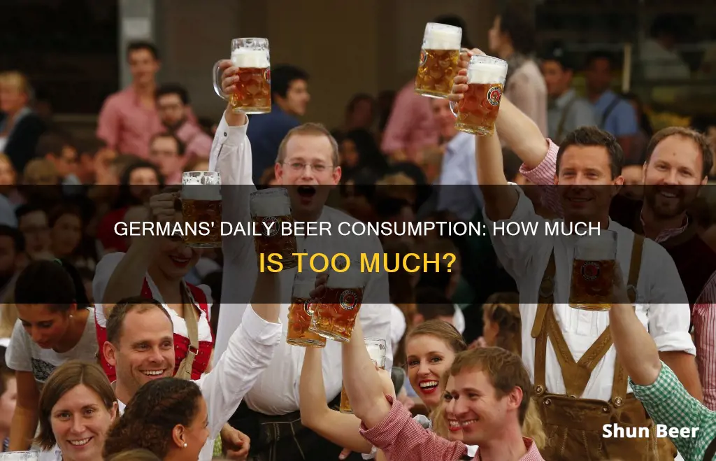 how much beer does the average german drink per day