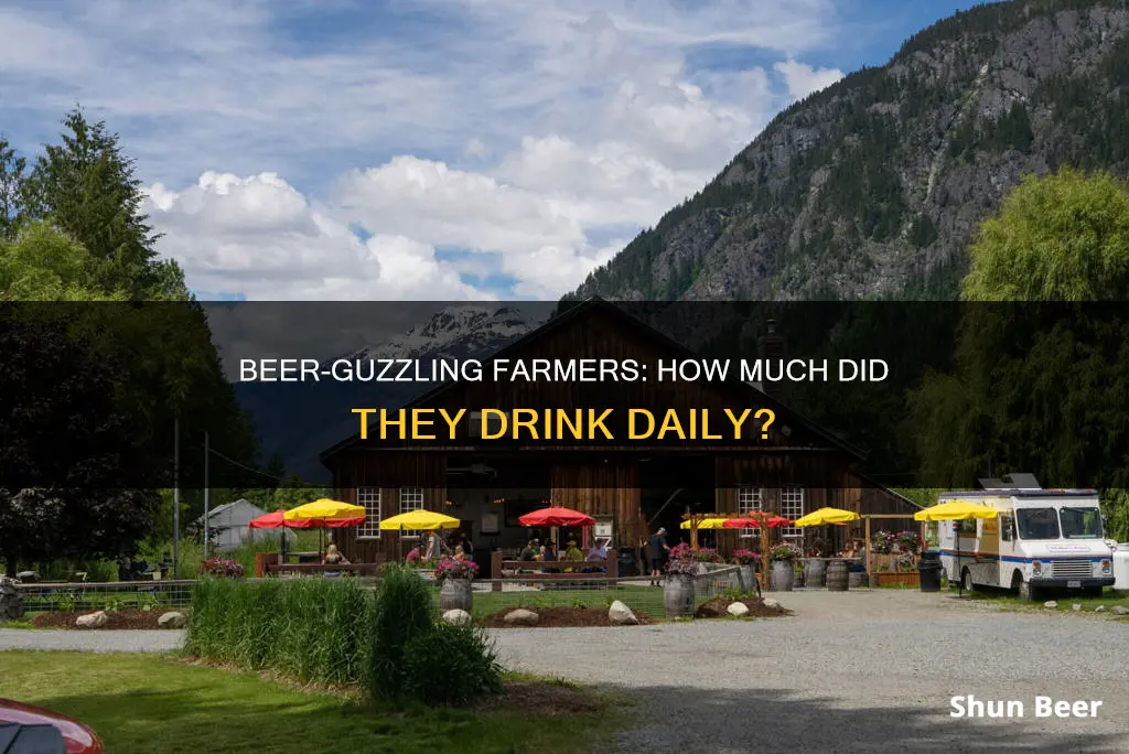 how much beer per day did framers drink