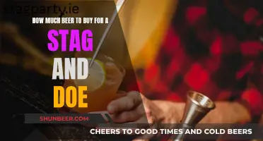 Stag and Doe Party: Beer Buying Guide