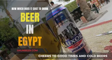 Exploring Beer Prices in Egypt