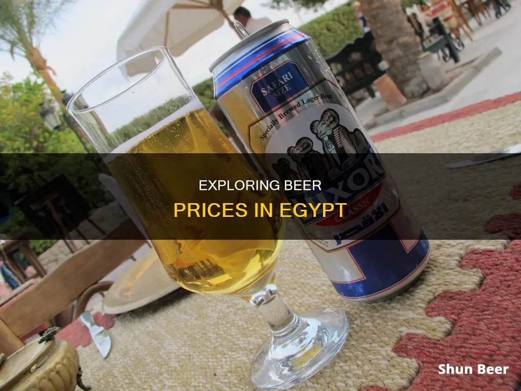 how much does it cost to drink beer in egypt