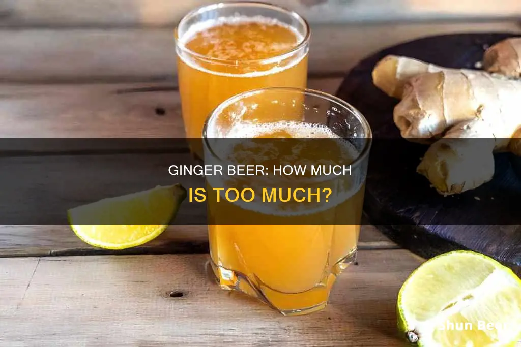 how much ginger beer should you drink