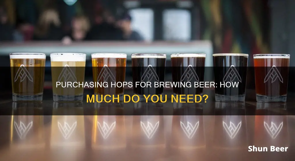 how much hopps do you buy to make beer