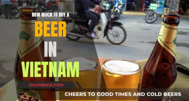 Exploring the Cost of Beer in Vietnam