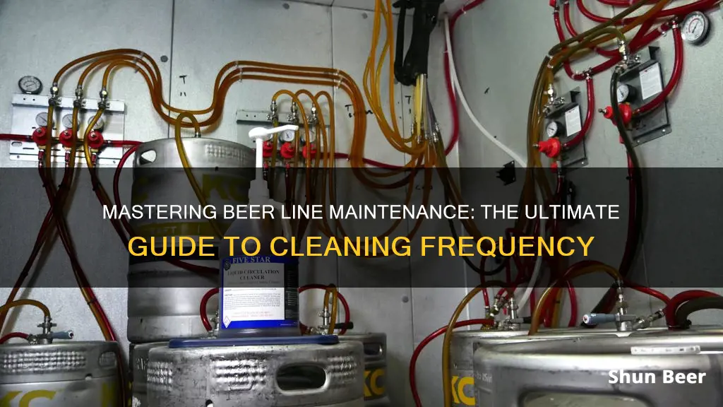 how often beer lines should be clean